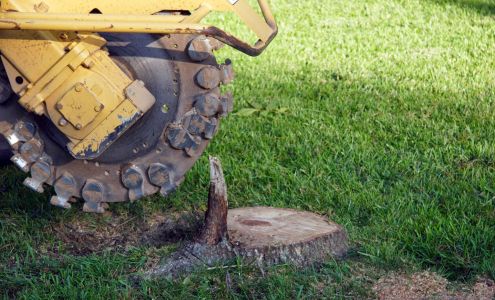 Lawn Ranger 19307 NW 202nd St, High Springs Florida 32643