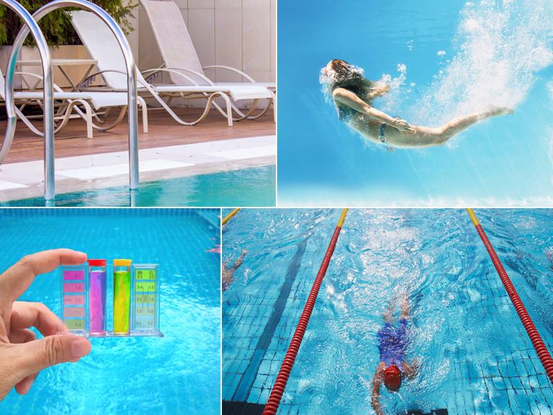 Affordable Tree Lawn & Pool Service