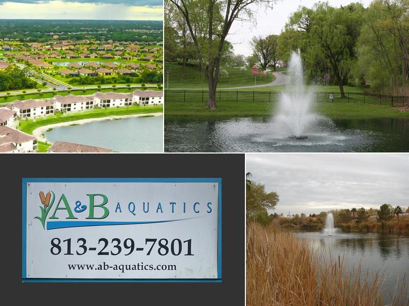 A&B Aquatics Lake & Pond Management Solutions
