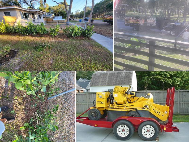 Urgent Tree Service & Stump Grinding