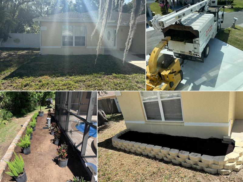 Tim Matthews Tree & Landscaping Inc.