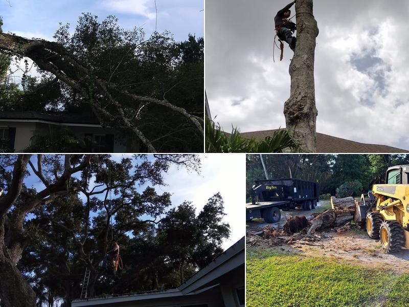 Reliable Tree & Lawn Service LLC