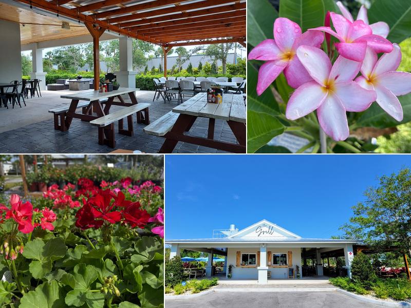 CW Willis Family Farms