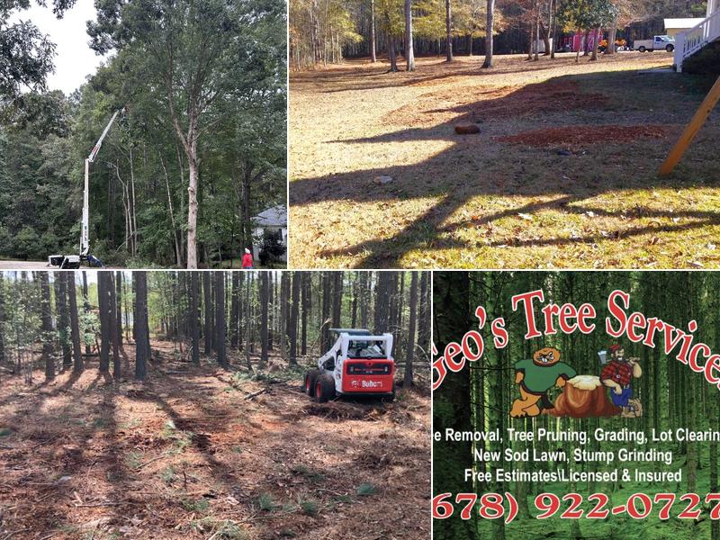 Geo's Tree Service