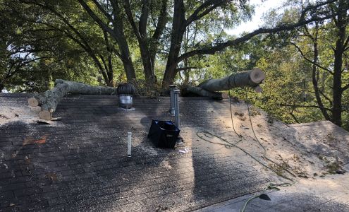Feisty Goat Tree Service