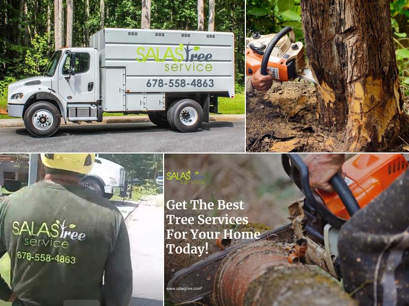 Salas Tree Service