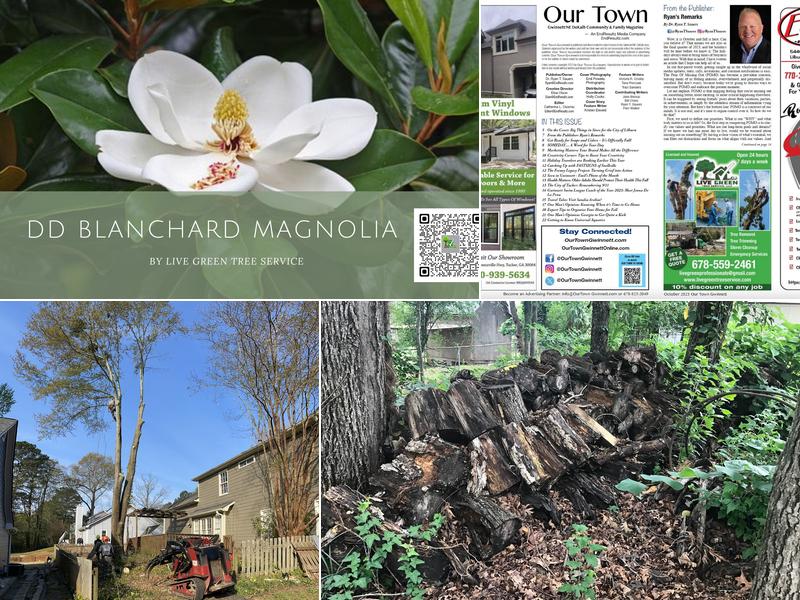 Live Green Tree Service LLC