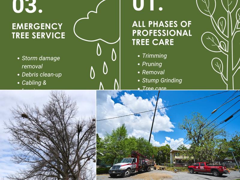 Herrington Tree Services