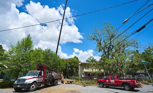 Herrington Tree Services 2309 E Victory Dr, Savannah Georgia 31404