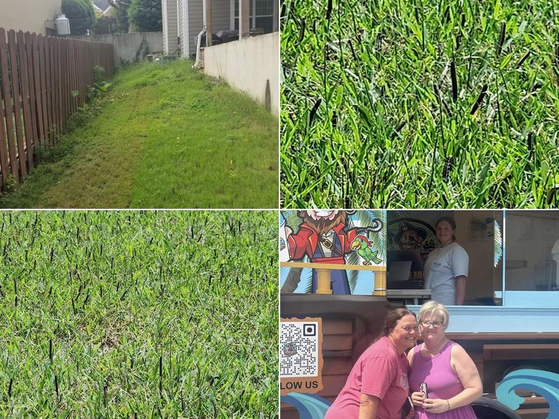 Turfmasters of Augusta LLC