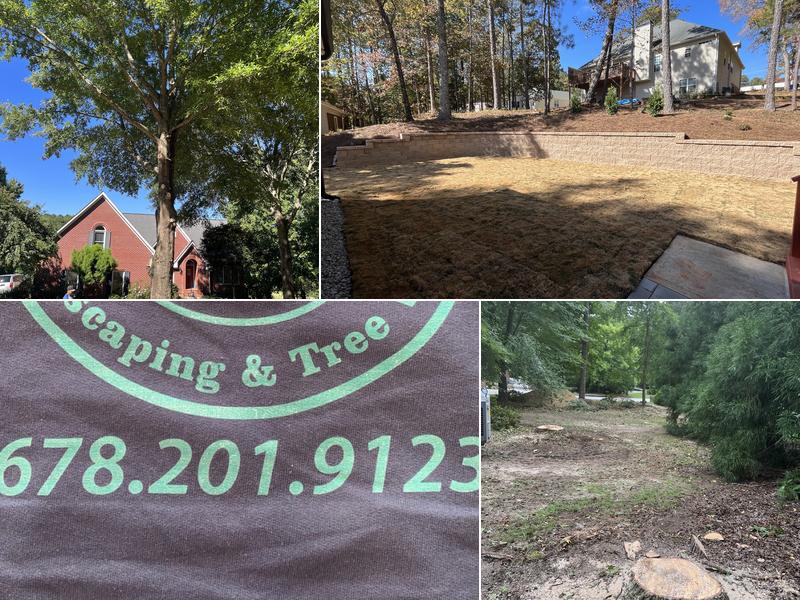 Rodriguez Landscaping and Tree Work