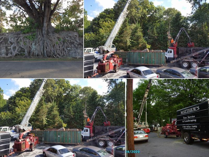 Matthew's Tree Service Inc