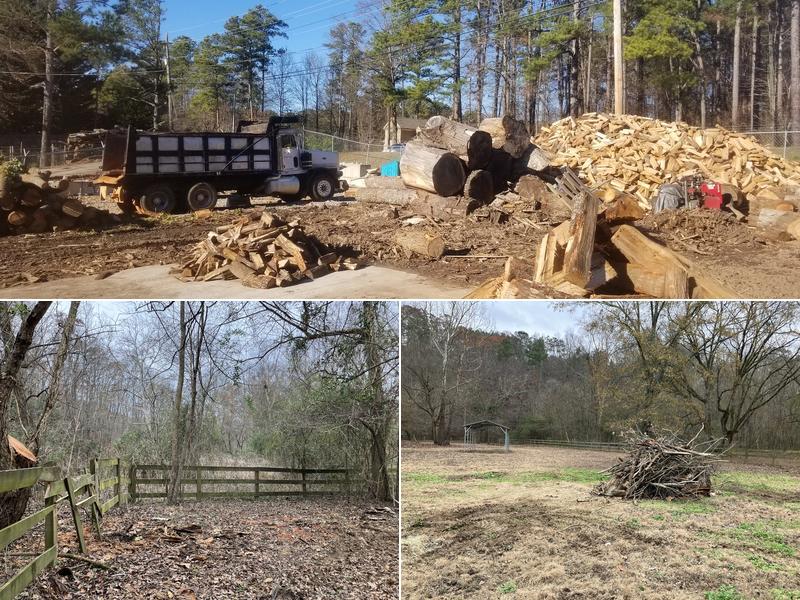 Dane Tree & Landscaping Pros