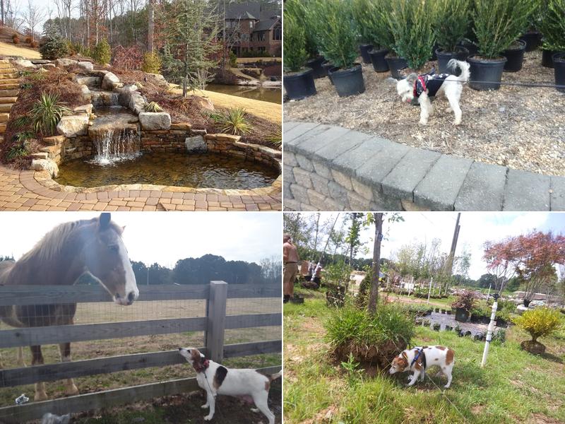 Upgrade Landscaping LLC