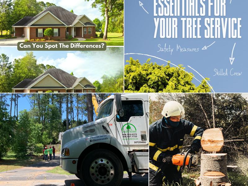 Leo's Landscape Tree Service