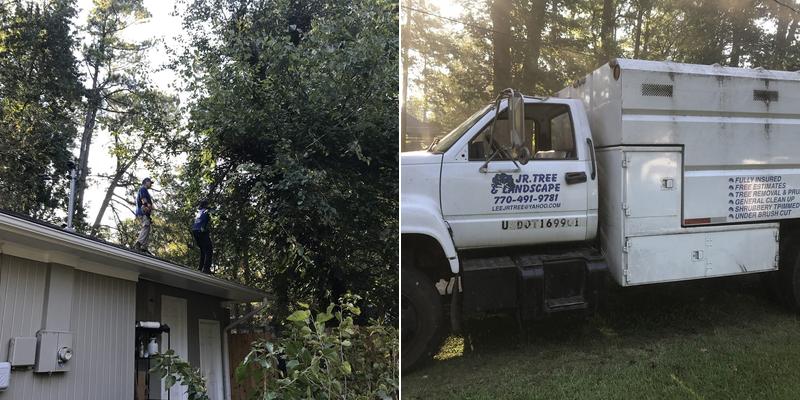 Lee Jr Tree & Landscaping Inc