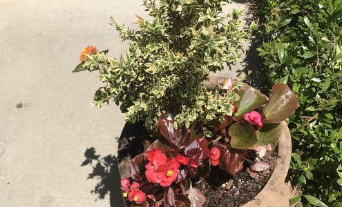 Quality Landscaping Services