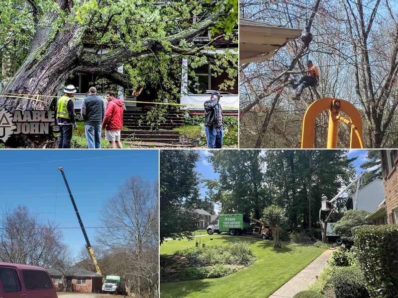 Aable John's Tree Service, Inc.