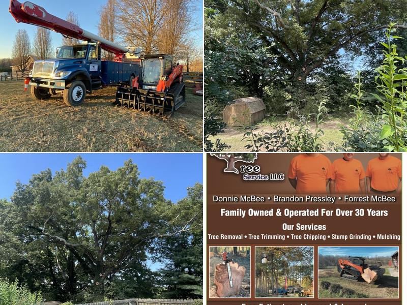 American Forestry Tree Service LLC