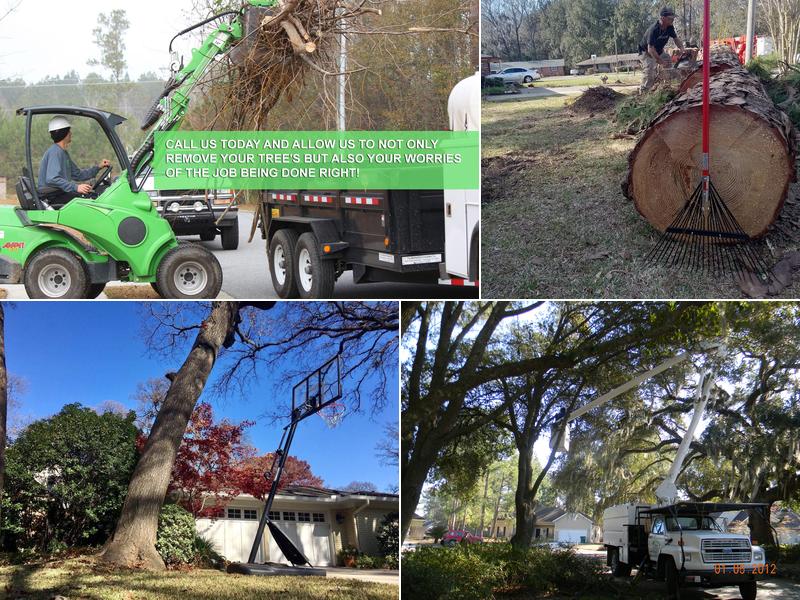 Kelley Tree Service