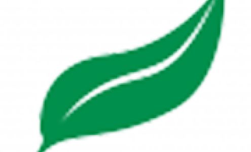 All Paradise Tree Services