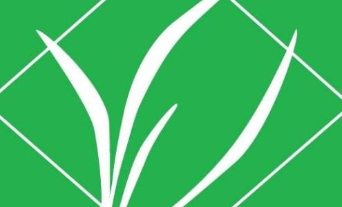 Evergreen Landscaping and Maintenance LLC 1636 Mahani Loop, Honolulu Hawaii 96819