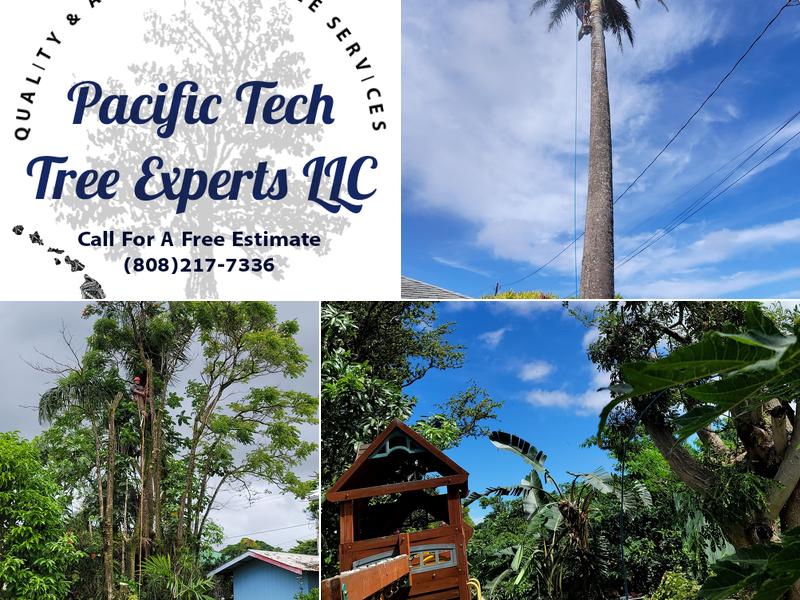 Pacific Tech Tree Experts LLC
