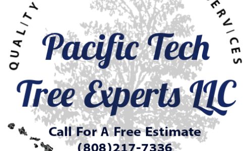 Pacific Tech Tree Experts LLC 44-2511 Keahua Rd, Honokaa Hawaii 96727