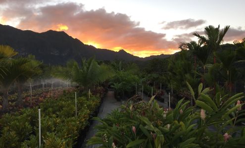 Hapa Landscaping 3514 Waialae Ave, Honolulu Hawaii 96816