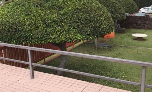 Cheapest Yard Service 3358 Kalihi St Unit A, Honolulu Hawaii 96819