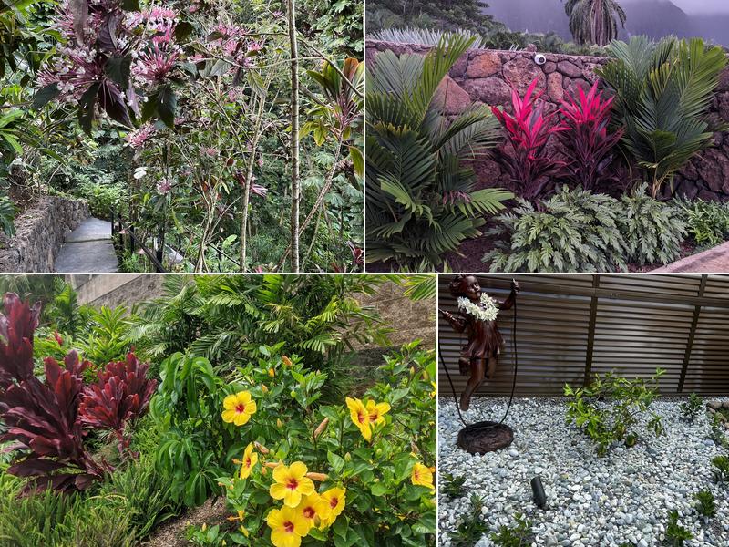 Aloha `Aina Landscaping LLC