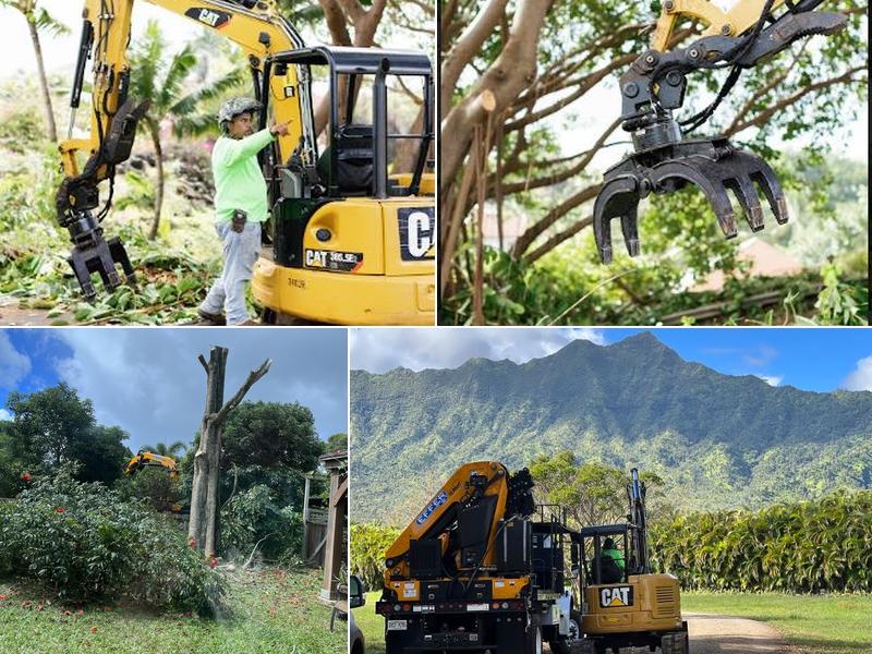 JP'S Tree Trimming LLC.