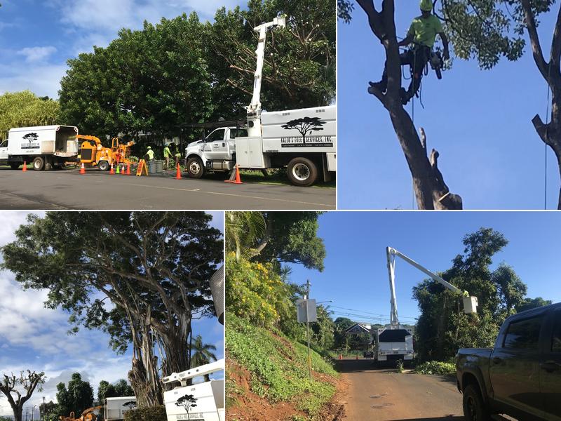 Kaleo's Tree Services, Inc.