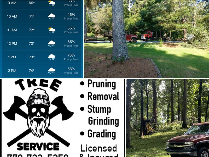 Taut Line Tree Service