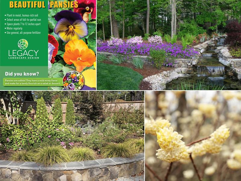 Legacy Landscape Design