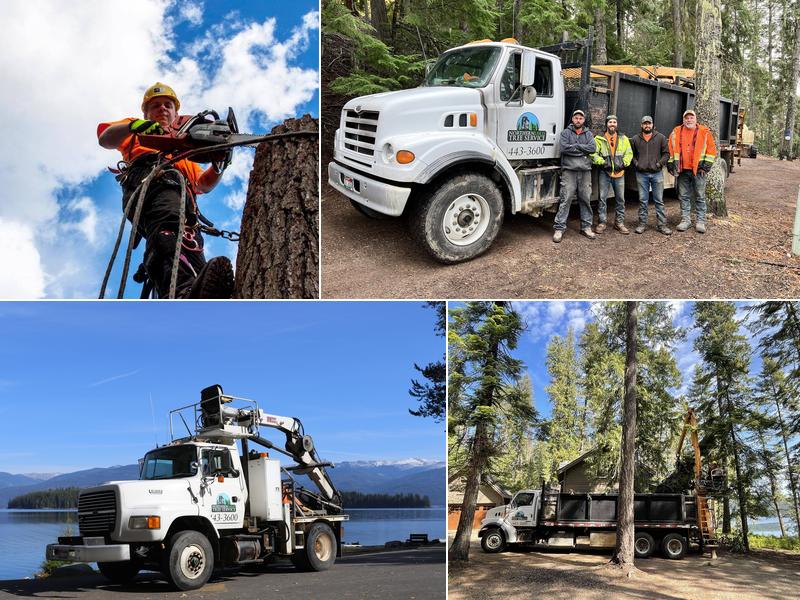 Northern Lakes Tree Service