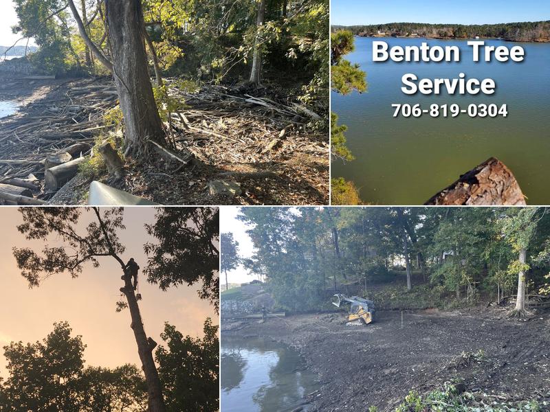 Benton Tree Service