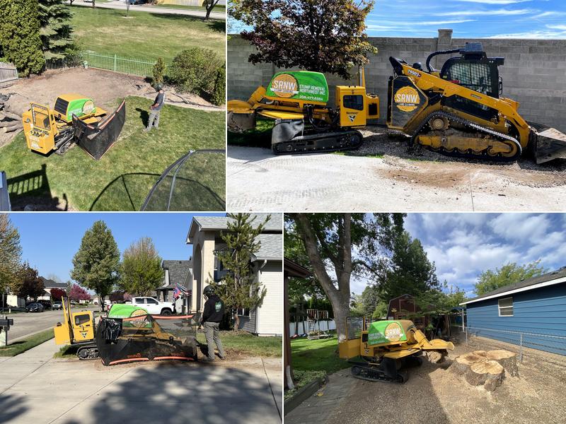 Stump Removal Northwest - Stump Grinding Service