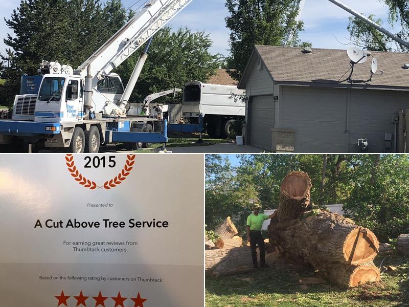 A Cut Above Tree Service