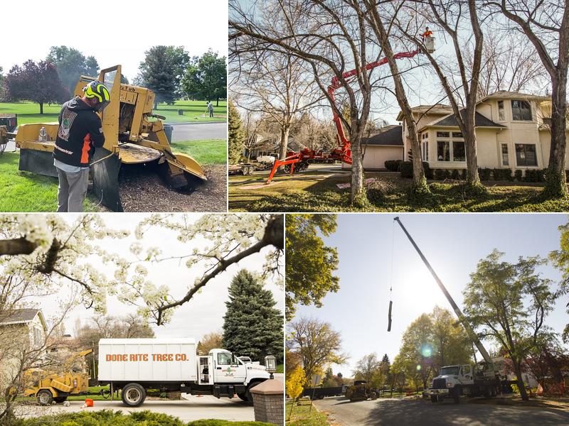 Done-Rite Tree Co, Inc.