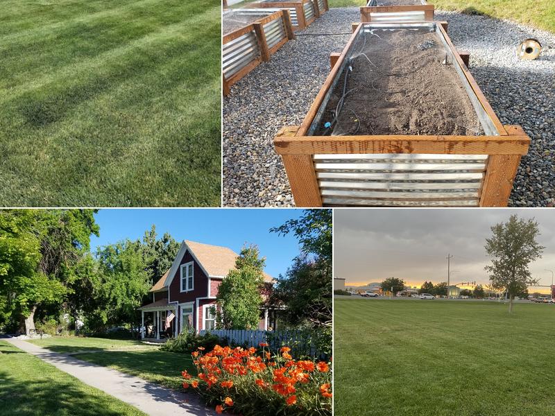 Jenson Lawn Services