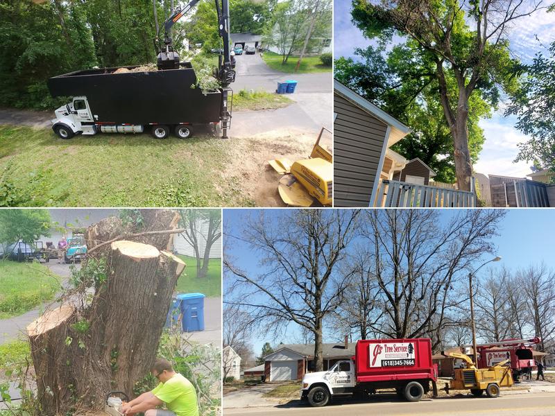 Js Tree Service