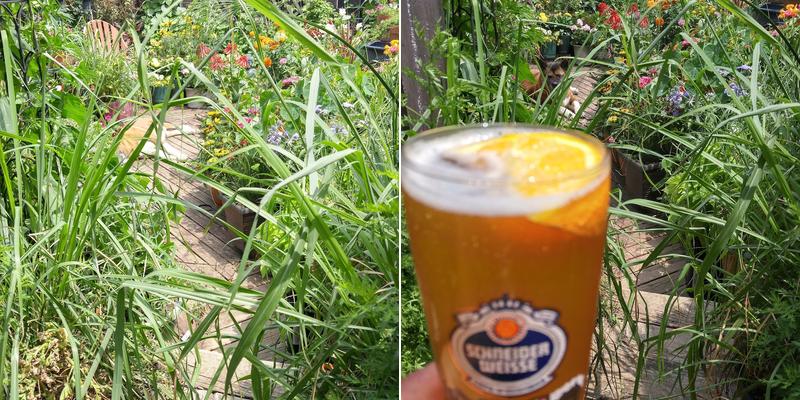 Father & Son Rodriguez Lawn Care INC