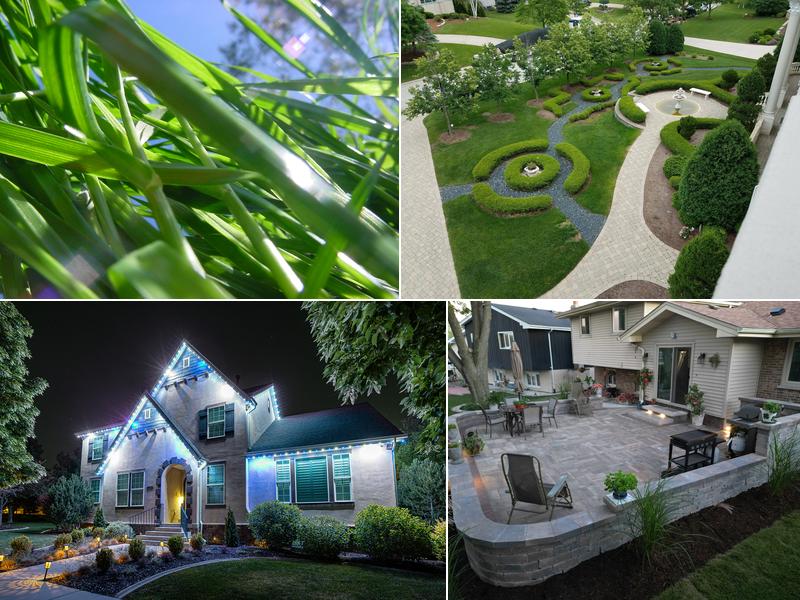 Revive Your Lawn & Trimlight Chicago