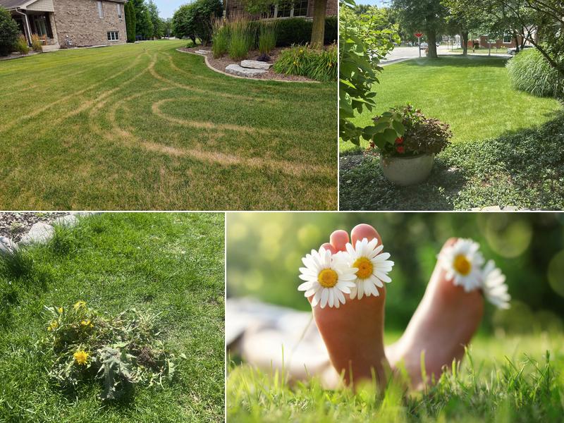 ExperiGreen Lawn Care