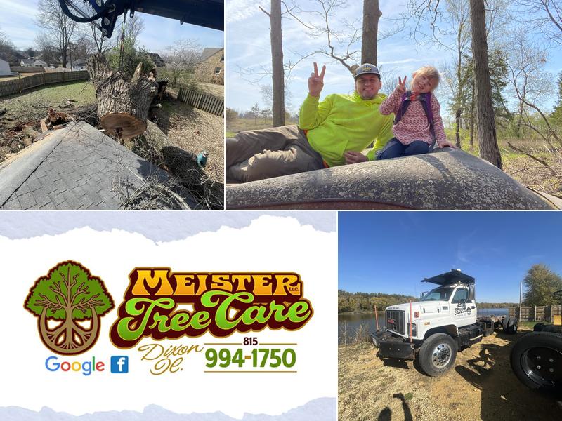 Meister Tree Care Service, Logging & Land Management, LLC.
