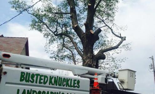 Busted Knuckles Landscaping, L.L.C.