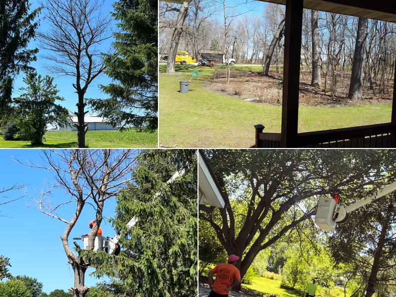 Ivan's and Jr's Landscaping & Tree Service