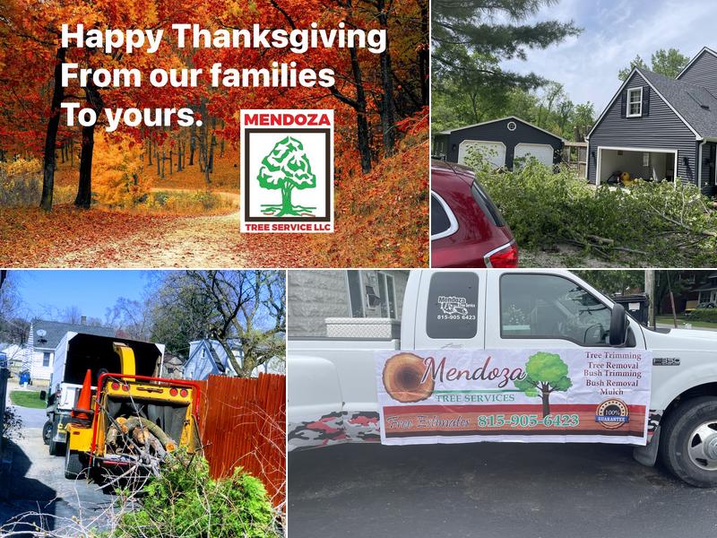 Mendoza Tree Service
