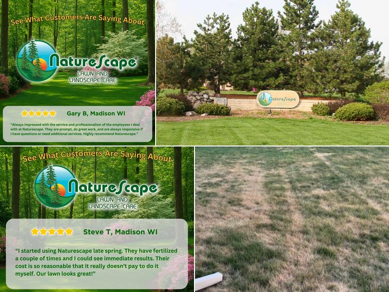 Naturescape Lawn and Landscape Care